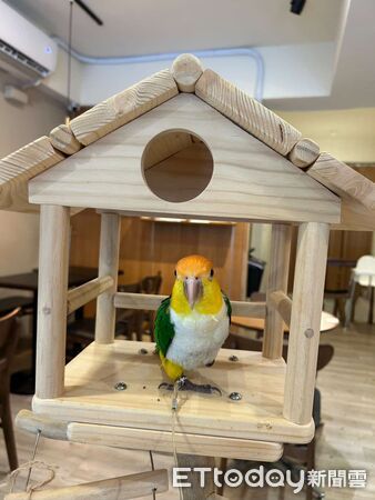 ▲。（圖／IG鳥仔咖Jiao Cafe提供，請勿隨意翻拍，以免侵權。）