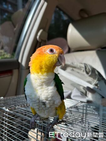 ▲。（圖／IG鳥仔咖Jiao Cafe提供，請勿隨意翻拍，以免侵權。）