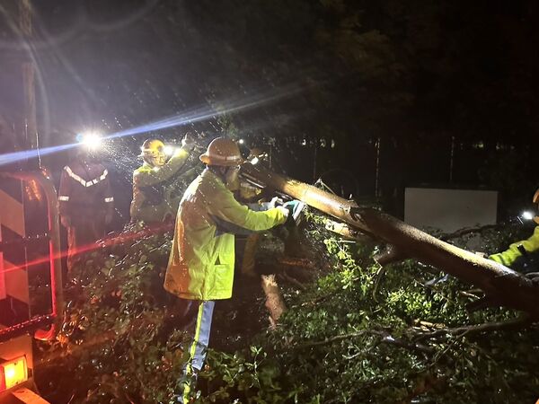 ▲▼颱風造成高雄岡山區架空電纜斷線，台電同仁出動搶修。（圖／台電提供）