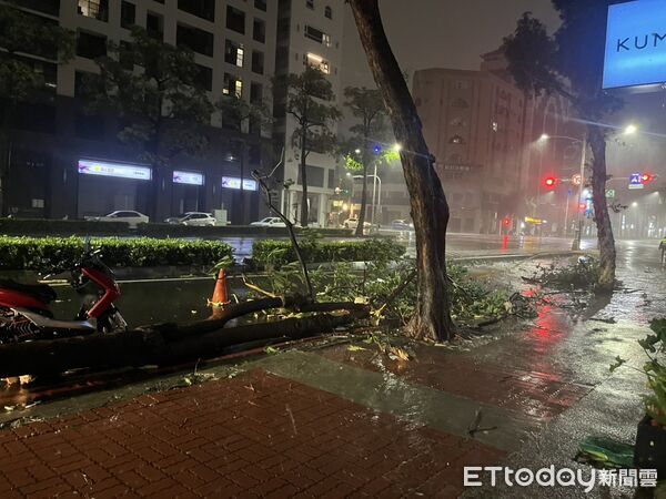 ▲▼颱風夜高雄騎士閃倒樹慘摔送醫。（圖／記者吳奕靖翻攝）