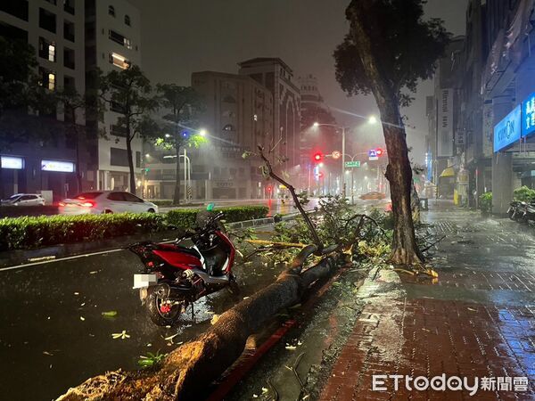 ▲▼颱風夜高雄騎士閃倒樹慘摔送醫。（圖／記者吳奕靖翻攝）