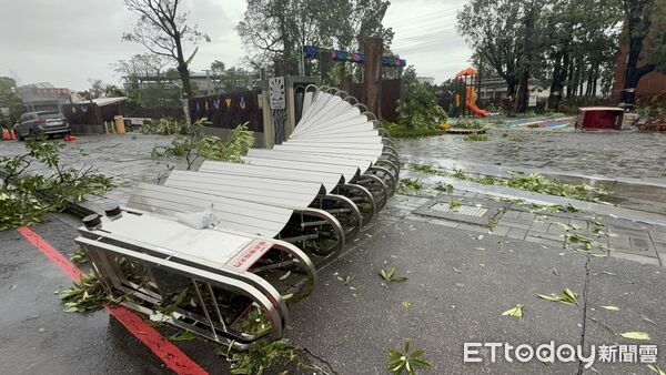 ▲▼   嘉義市颱風後招牌路樹倒  。（圖／記者翁伊森攝）