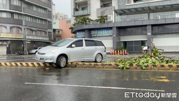 ▲▼   嘉義市颱風後招牌路樹倒  。（圖／記者翁伊森攝）
