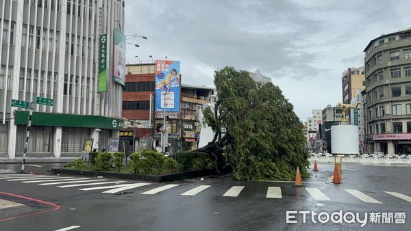 ▲▼   嘉義市颱風後招牌路樹倒  。（圖／記者翁伊森攝）