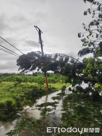 ▲台南市多處因丹娜絲颱風導致電線桿倒塌，工程人員正冒雨搶修中。（記者林東良翻攝，下同）