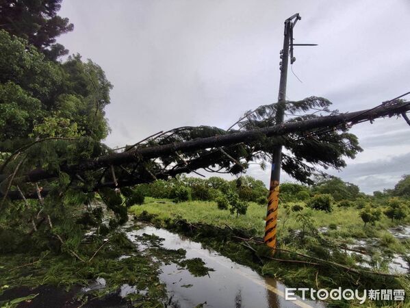 ▲台南市多處因丹娜絲颱風導致電線桿倒塌，工程人員正冒雨搶修中。（記者林東良翻攝，下同）