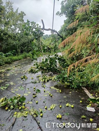 ▲丹娜絲颱風一夜狂風驟雨，造成信義鄉部分道路受阻。（圖／記者高堂堯翻攝）