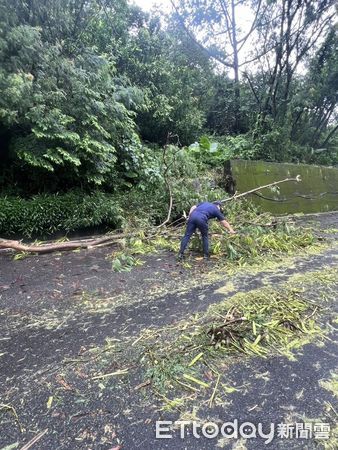 ▲丹娜絲颱風一夜狂風驟雨，造成信義鄉部分道路受阻。（圖／記者高堂堯翻攝）