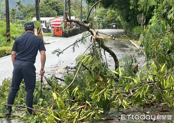 ▲丹娜絲颱風一夜狂風驟雨，造成信義鄉部分道路受阻。（圖／記者高堂堯翻攝，下同）