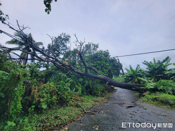 ▲丹娜絲颱風造成竹山、水里及鹿谷三鄉鎮部分地區停電，台電積極搶修中。（圖／台電南投區處提供，下同）