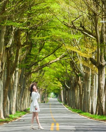 ▲▼台東景點大公開，鹿野還可以這樣玩！（圖／ReadyGo提供）