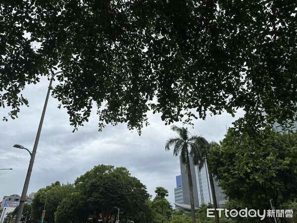 ▲▼ 7/7南港。（圖／記者曾筠淇攝）