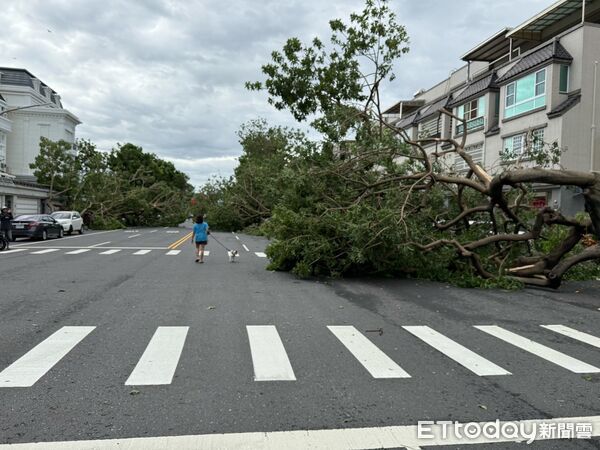 ▲▼ 嘉義災情。（圖／記者施怡妏攝）