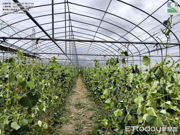 ▲雲林農損。（圖／雲林縣農業處提供）