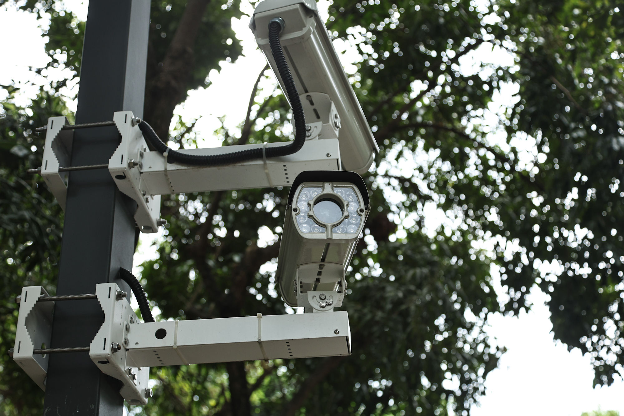 ▲嘉義市政府攜手中華電信AI科技執法。（圖／記者林敬旻攝）