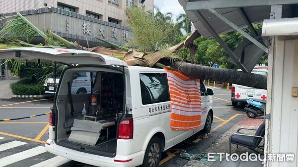 ▲▼   丹娜絲颱風襲雲林，最大陣風飆破17級，掀翻汽車、吹倒路樹，災情頻傳。今（7）日凌晨1點多北港一輛貨車被強風吹翻，另台大醫院雲林分院復健大樓前方樹倒，壓到民間救護車，現場畫面也曝光。          。（圖／記者游瓊華翻攝）
