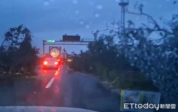 ▲清晨走國1「彷彿進到深山老路」。（圖／原PO授權引用）