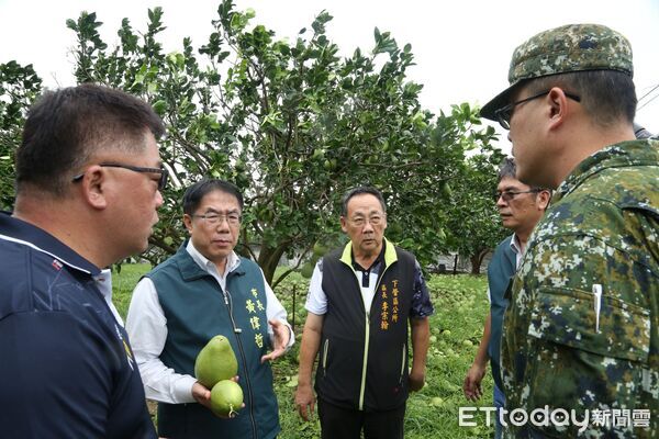 ▲台南市長黃偉哲實地勘查麻豆文旦果園，關心果農落果災情，指示市府動員支援清運。（記者林東良翻攝，下同）
