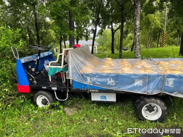 ▲玉井分局接獲通報，楠西區市175線椰子樹倒塌壓車，釀父子一死一傷。（記者林東良翻攝，下同）