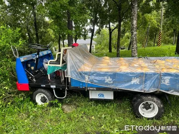 ▲玉井分局接獲通報，楠西區市175線椰子樹倒塌壓車，釀父子一死一傷。（記者林東良翻攝，下同）