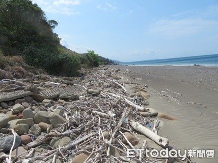 ▲漂流木。（圖／林業及自然保育署屏東分署提供）