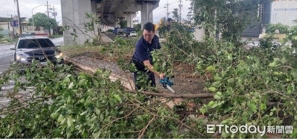 ▲▼颱風過境，清理家園4大地雷曝光。（圖／記者許宥孺翻攝）