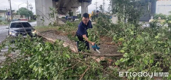 ▲▼颱風過境，清理家園4大地雷曝光。（圖／記者許宥孺翻攝）