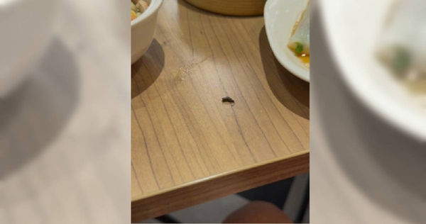 （圖／翻攝自臉書／新竹報料公社）