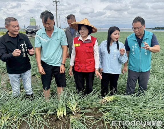 ▲丹娜絲颱風過境，強風暴雨襲擊雲林，造成多處農作物損害嚴重。（圖／記者游瓊華翻攝）