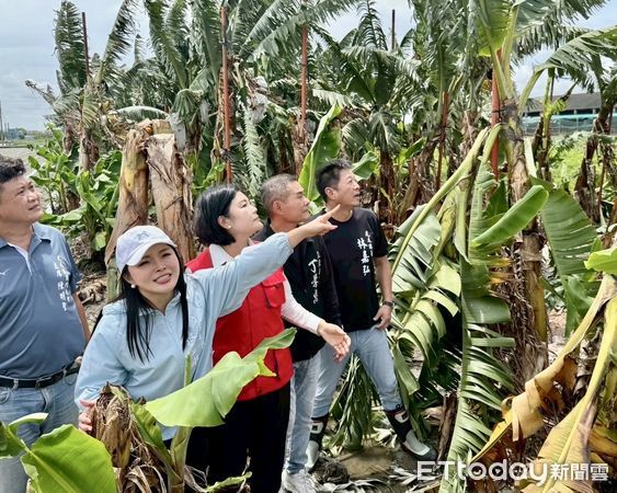 ▲丹娜絲颱風過境，強風暴雨襲擊雲林，造成多處農作物損害嚴重。（圖／記者游瓊華翻攝）