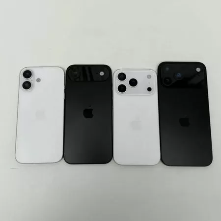 ▲▼             。（圖／X@MajinBuOfficial）