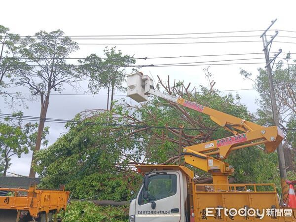 ▲丹娜絲強風吹倒台南沿海電桿與路樹，台電全力投入復電搶修作業。（記者林東良翻攝，下同）