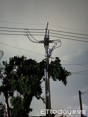 ▲丹娜絲強風吹倒台南沿海電桿與路樹，台電全力投入復電搶修作業。（記者林東良翻攝，下同）