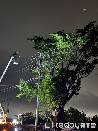 ▲丹娜絲強風吹倒台南沿海電桿與路樹，台電全力投入復電搶修作業。（記者林東良翻攝，下同）
