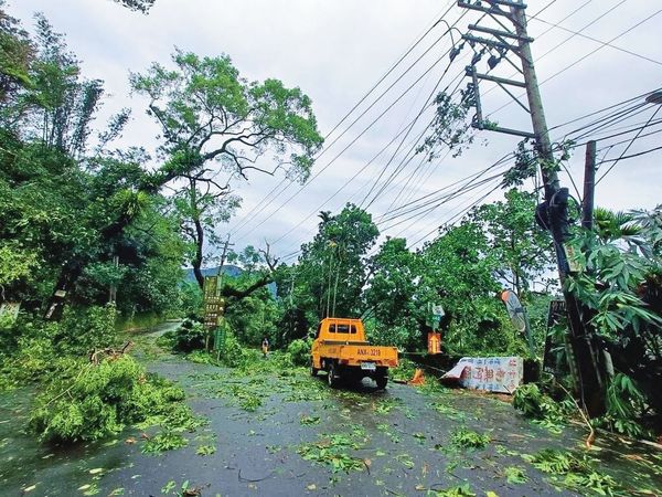 颱風造成南投多處樹倒、扯斷電線桿，嚴重影響供電。（台電公司南投區處提供）