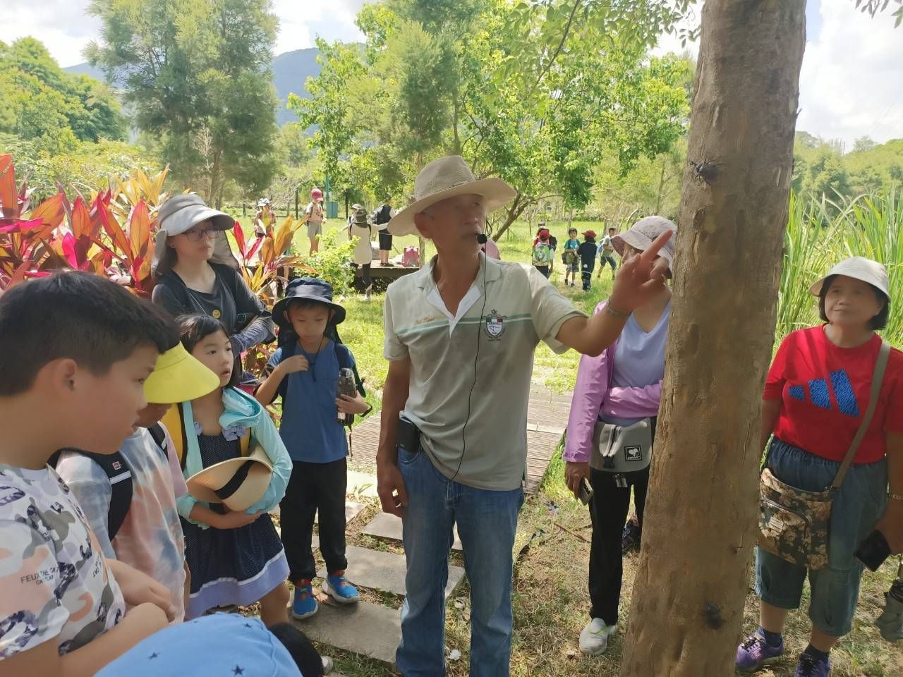 ▲▼淡水,滬尾休閒農業區,小農,市集,獨角仙,暑假。（圖／新北市農業局提供）