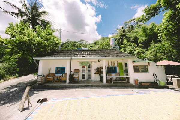 ▲▼稻米與月桃花。（圖／部落客黑皮的旅遊筆記授權提供）