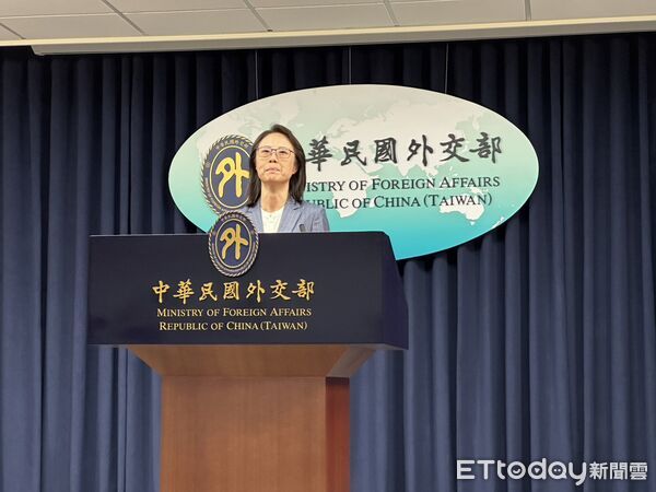 ▲▼外交部公眾會副執行長陳怡君。（圖／記者詹詠淇攝）