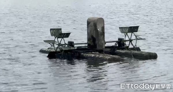 ▲強颱丹娜絲來襲，台南學甲地區養殖業因停電而造成魚塭無法溶氧而缺氧，許多魚死亡浮在水面，台南市漁青聯誼會會長黃國基指出，如再停電下去，對養殖業會造成重創。（圖／記者林東良翻攝，下同）