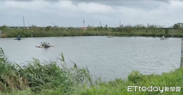 ▲強颱丹娜絲來襲，台南學甲地區養殖業因停電而造成魚塭無法溶氧而缺氧，許多魚死亡浮在水面，台南市漁青聯誼會會長黃國基指出，如再停電下去，對養殖業會造成重創。（圖／記者林東良翻攝，下同）