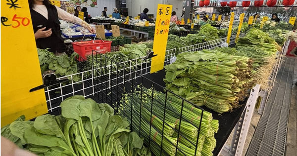 廖炯程解釋颱風天後菜價漲價原因。（圖／報系資料照）