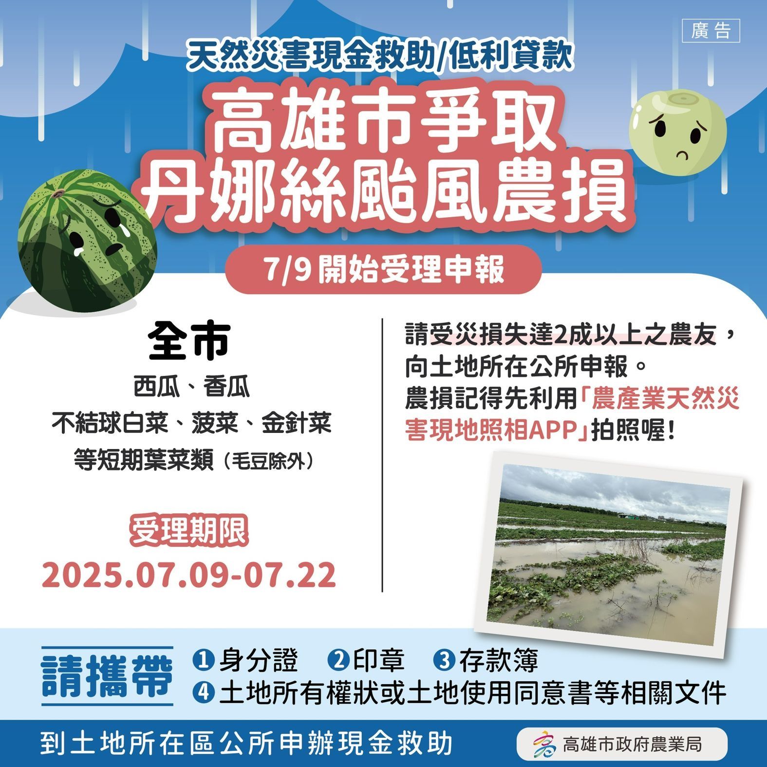 ▲▼心血全泡水裡…高雄丹娜絲農損超過3千萬　首波現金救助金額出爐。（圖／記者賴文萱翻攝）