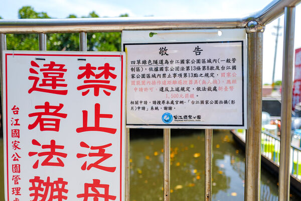 ▲▼四草綠色隧道。（圖／部落客陳小可的吃喝玩樂授權提供）