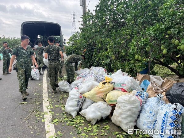 ▲台南市長黃偉哲9日前往麻豆區勘災，了解文旦落果災情並慰問果農，現場指示各局處加快補助申報與復原進度。（記者林東良攝，下同）