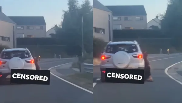 高速車拖行德國牧羊犬致死　男住家遭私刑放火「為殺狗復仇」。（圖／翻攝自X）