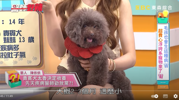 ▲▼依依。（圖／翻攝自YouTube／醫師好辣）