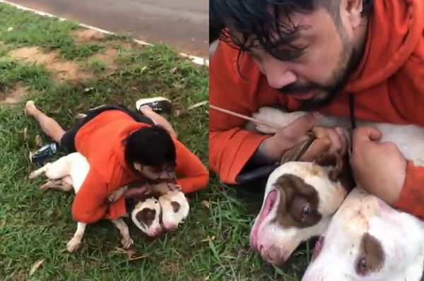 遭2比特犬飛撲攻擊　泰拳男「苦戰5分鐘」逃死崩潰：沒人敢幫我。（圖／翻攝自X）