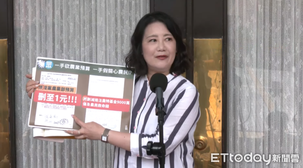 ▲▼民進黨團幹事長吳思瑤。（圖／攝影中心攝）