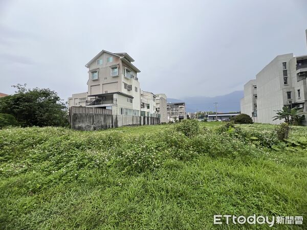 ▲▼花蓮縣環保局指出，雜草叢生不僅破壞環境景觀，更易成為病媒蚊孳生溫床。（圖／花蓮縣政府提供，下同）