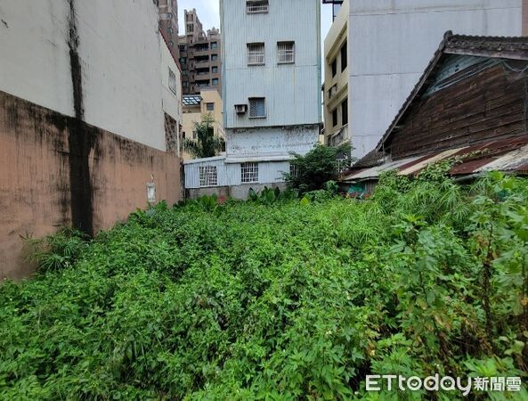 ▲▼花蓮縣環保局指出，雜草叢生不僅破壞環境景觀，更易成為病媒蚊孳生溫床。（圖／花蓮縣政府提供，下同）